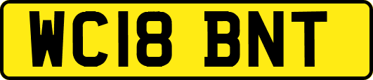 WC18BNT