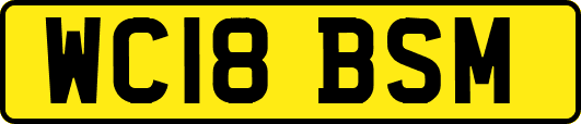WC18BSM