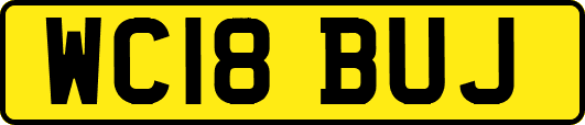 WC18BUJ