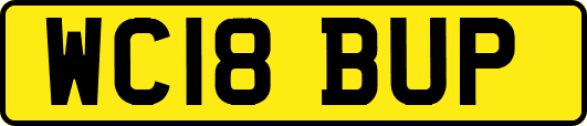 WC18BUP