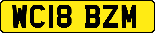 WC18BZM