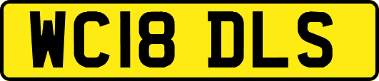 WC18DLS