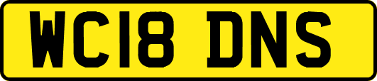 WC18DNS