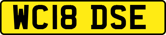 WC18DSE