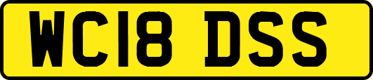 WC18DSS