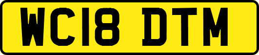 WC18DTM