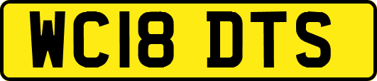 WC18DTS