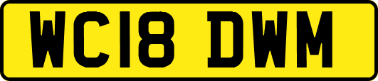 WC18DWM