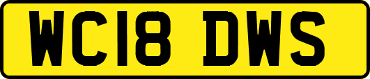 WC18DWS