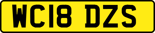 WC18DZS