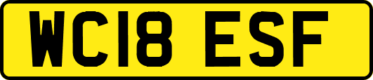 WC18ESF