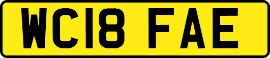 WC18FAE