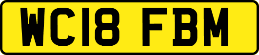 WC18FBM
