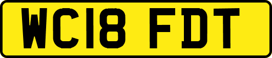 WC18FDT