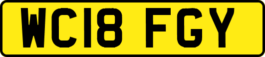WC18FGY