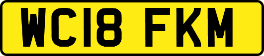 WC18FKM