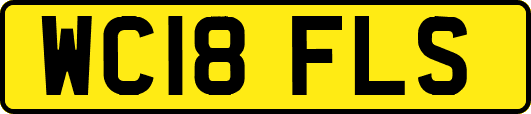 WC18FLS