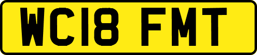 WC18FMT