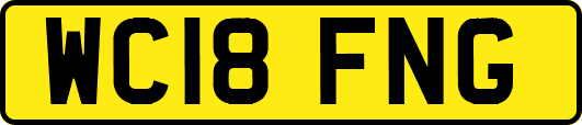 WC18FNG