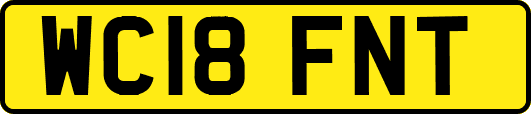 WC18FNT