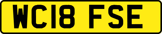 WC18FSE