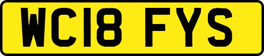 WC18FYS