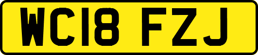WC18FZJ
