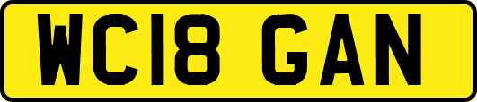 WC18GAN