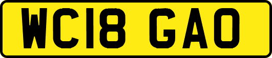 WC18GAO
