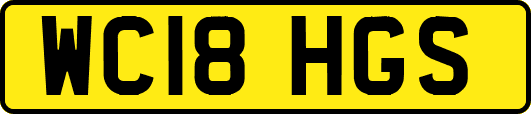 WC18HGS