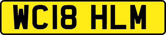 WC18HLM
