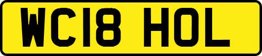 WC18HOL