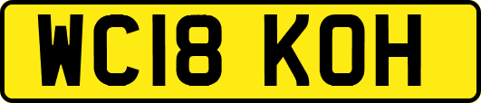 WC18KOH