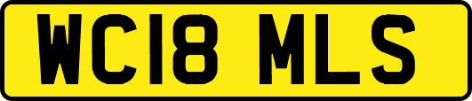 WC18MLS