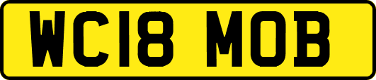 WC18MOB