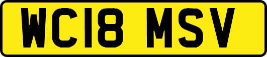 WC18MSV