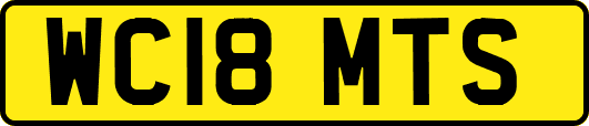 WC18MTS