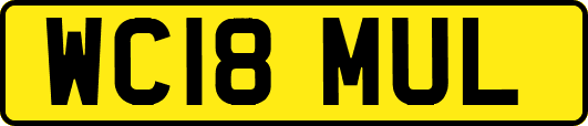 WC18MUL