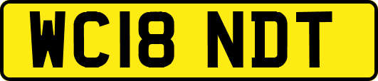 WC18NDT