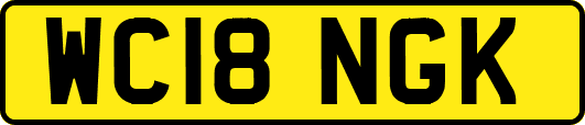 WC18NGK