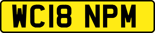 WC18NPM