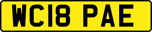 WC18PAE