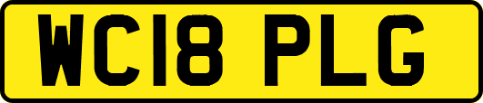 WC18PLG