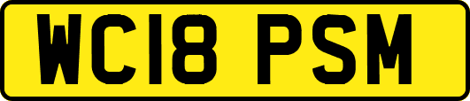 WC18PSM