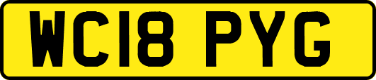 WC18PYG