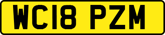 WC18PZM