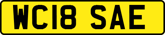 WC18SAE