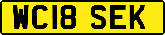 WC18SEK
