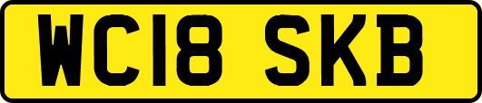 WC18SKB
