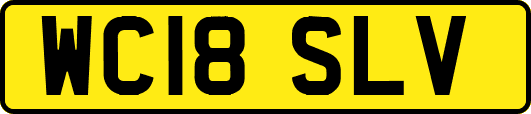 WC18SLV